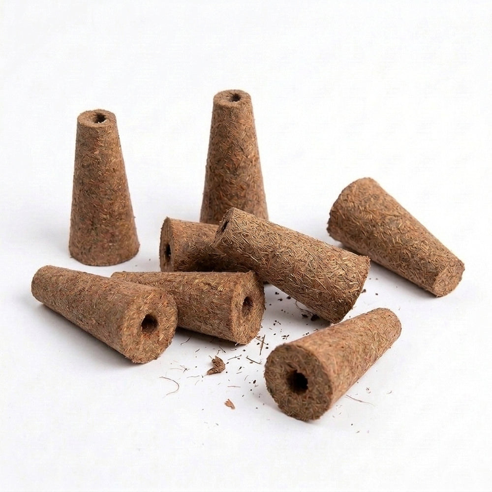 Pack 50 Esponjas de Bio-Turba Vegetal – Formato Estándar The Garden Box